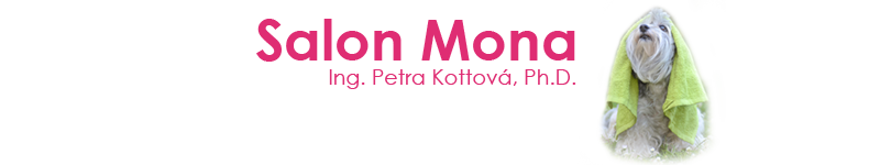 Stříhání psů praha